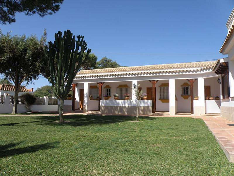 Hostal Las Acacias Los Canos De Meca Exterior foto