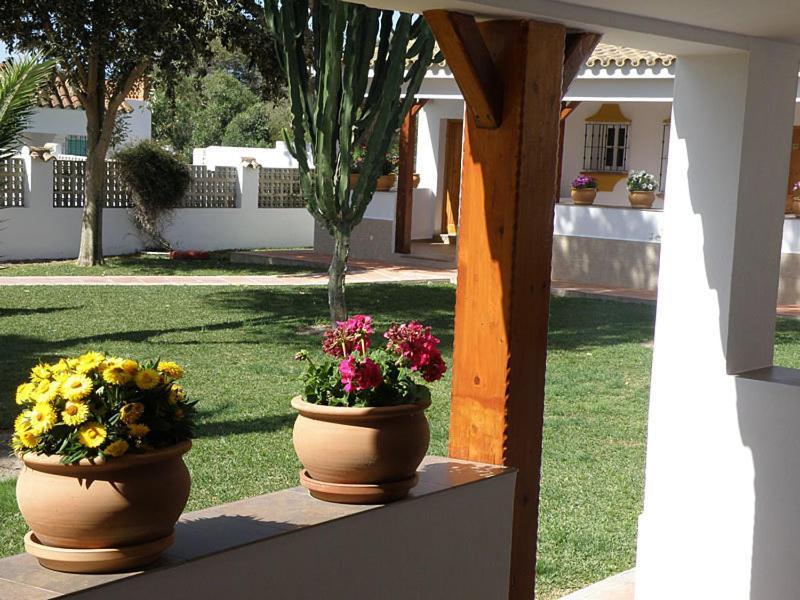 Hostal Las Acacias Los Canos De Meca Exterior foto